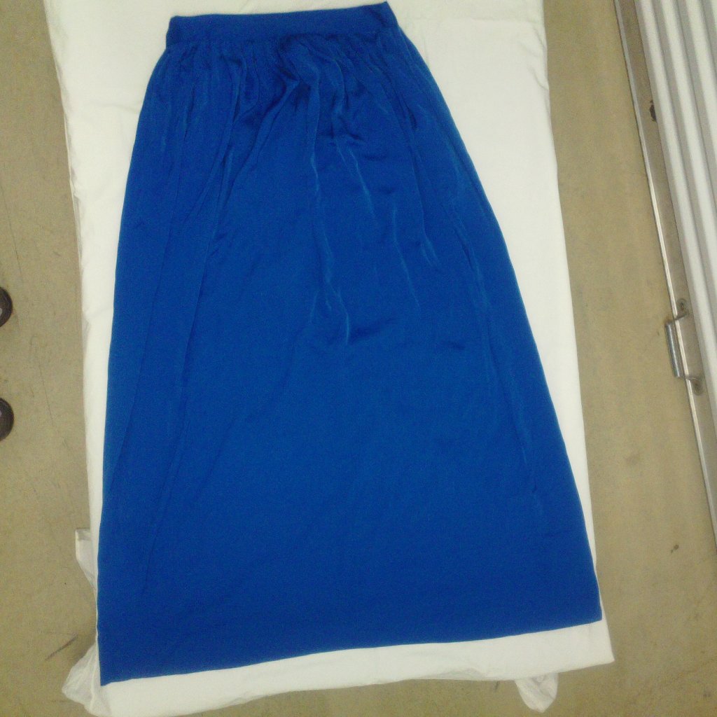 Bcbgmaxazria Sofia Maxi Skirt M Blue Nwt